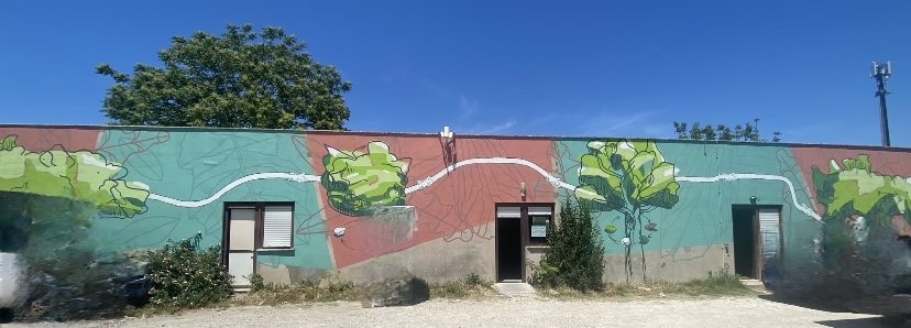 Centro_di_Raccolta_Porta_a_Porta-1.jpeg